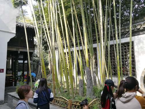 扬州游记个园篇