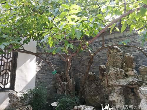 扬州游记个园篇