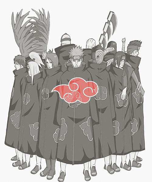 晓组织最全历代成员名单