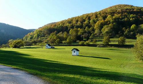 庚寅是什么意思