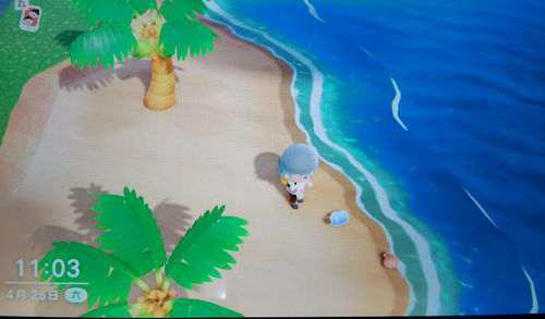 猛男捡树枝实用小攻略