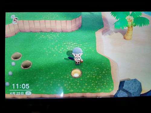 猛男捡树枝实用小攻略