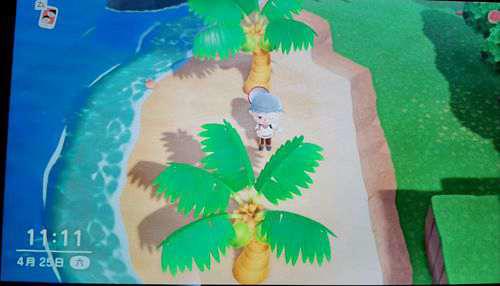 猛男捡树枝实用小攻略