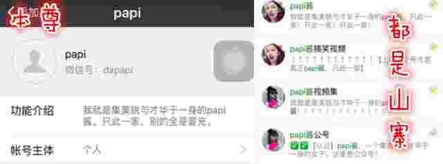 papi酱是谁？papi酱真人名字叫什么？