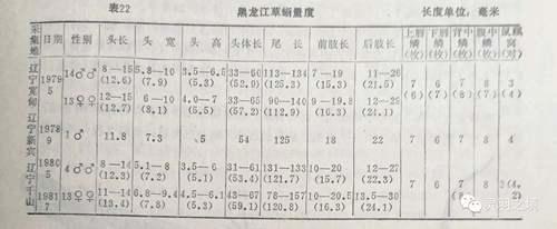 关于东北两种草蜥的鉴别