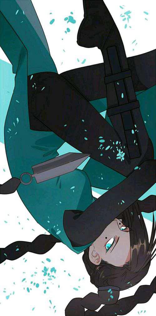 梅花十三的美图来了 大家一起来看看吧