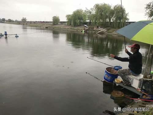 如何钓鲤鱼?五个技巧送给你 怎样钓鲤鱼?