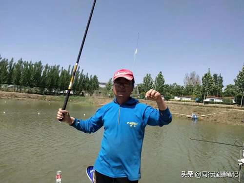 如何钓鲤鱼?五个技巧送给你 怎样钓鲤鱼?