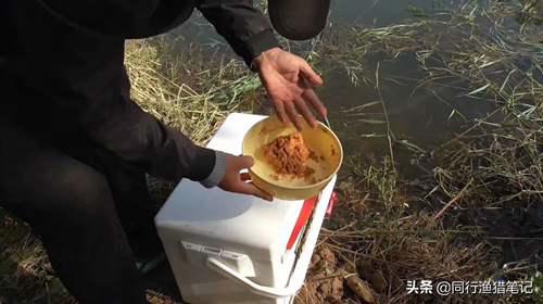 如何钓鲤鱼?五个技巧送给你 怎样钓鲤鱼?