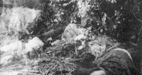 东北二王事件真相