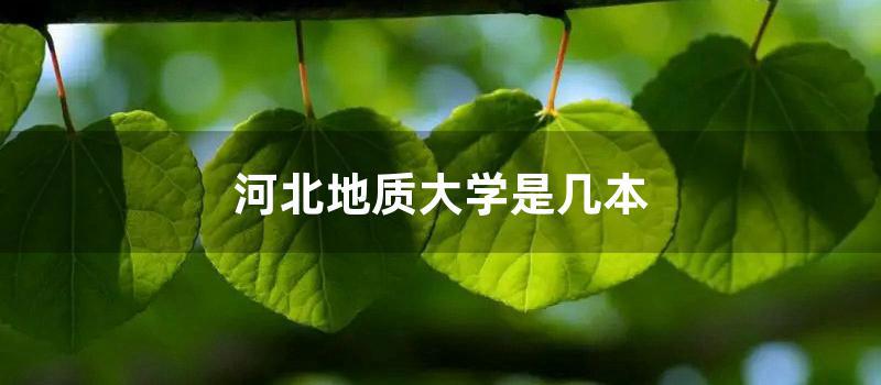 河北地质大学是几本 (河北地质大学是几星级)