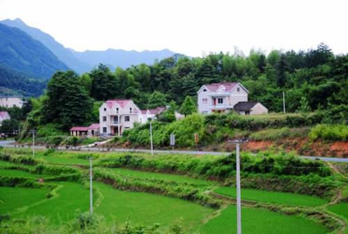 海归女硕士包下荒山当农民