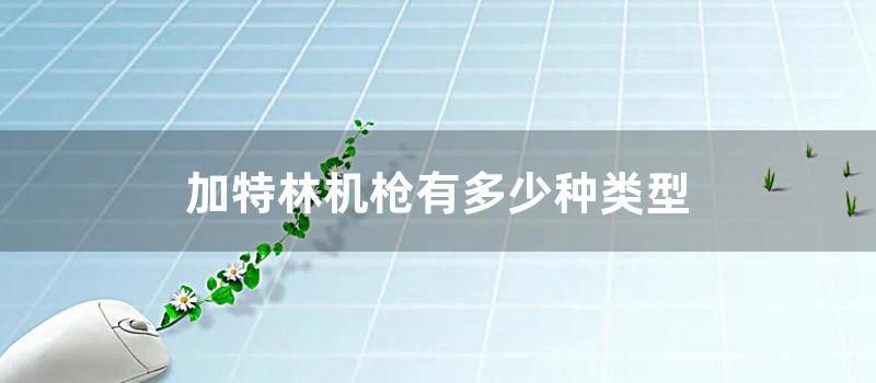 加特林机枪有多少种类型 (加特林机枪有多少种)