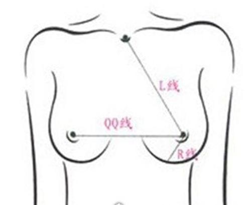 乳房的标准位置 最标准的胸
