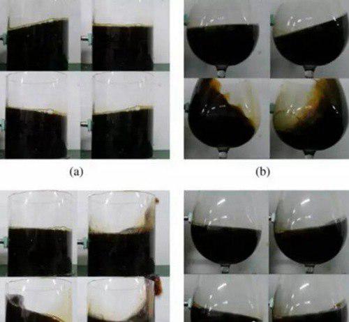 十大最搞笑诺贝尔奖