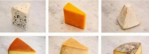 十大最搞笑诺贝尔奖