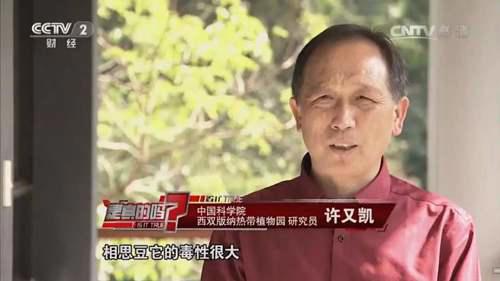 相思豆有毒是真的吗? 相思豆有毒