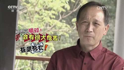 相思豆有毒是真的吗？ 相思豆有毒