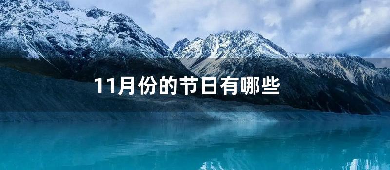 11月份的节日有哪些 (11月份的节日有哪些)