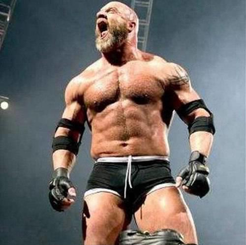 wwe肌肉最发达的十人