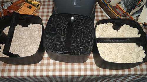 一个新手做的水草缸入门教程