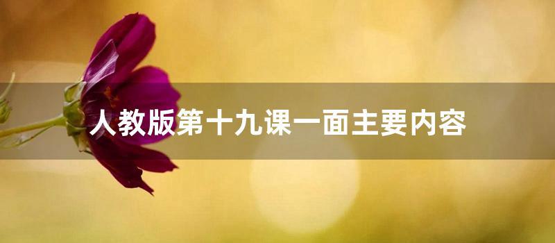 人教版第十九课一面主要内容 (人教版二年级下册第十九课)