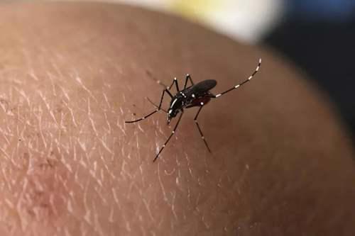 挥手2018 回顾这年香港发生的大事 你还记得吗