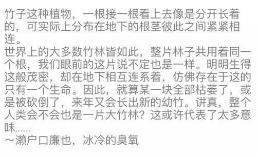 扯淡 手冢治虫的佛陀