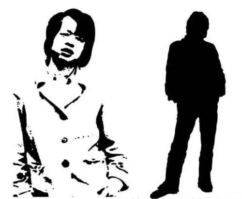 王小波 绿毛水怪