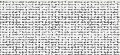 世界上最长的英语单词