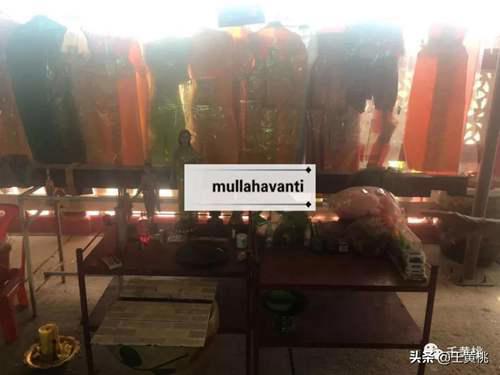 泰国奇人传 金面佛僧龙婆济