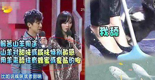 杨幂脚臭是真的吗 刘恺威回应杨幂臭脚真相