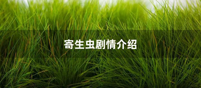 寄生虫剧情介绍 (韩剧寄生虫剧情介绍)