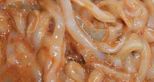 日本10大最恶心食物