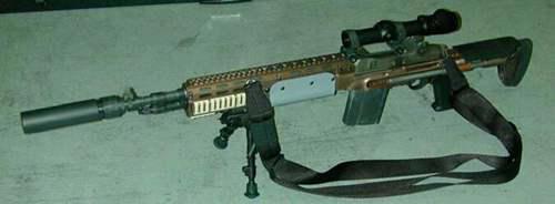 轻武器科普之M14EBR 吃鸡里的MK14原来是他