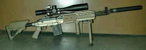 轻武器科普之M14EBR 吃鸡里的MK14原来是他