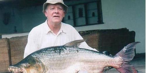 世界十大最凶猛淡水鱼排行榜