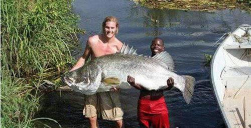 世界十大最凶猛淡水鱼排行榜