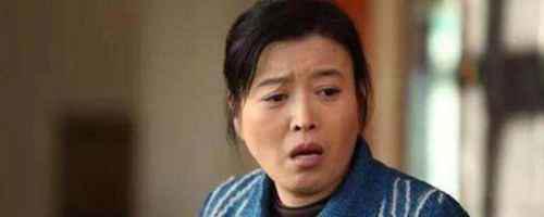 安家房似锦妈妈结局是什么