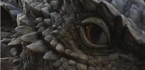 C4D建模这几大主流渲染器你Pick哪个