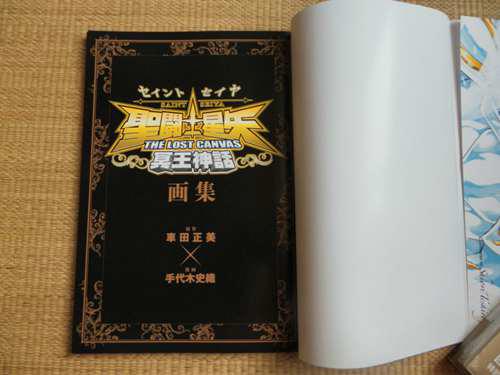 手代木史织 圣斗士星矢冥王神话THELOSTCANVAS画集