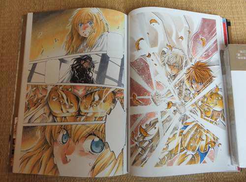 手代木史织 圣斗士星矢冥王神话THELOSTCANVAS画集