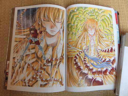 手代木史织 圣斗士星矢冥王神话THELOSTCANVAS画集