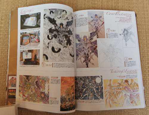 手代木史织 圣斗士星矢冥王神话THELOSTCANVAS画集