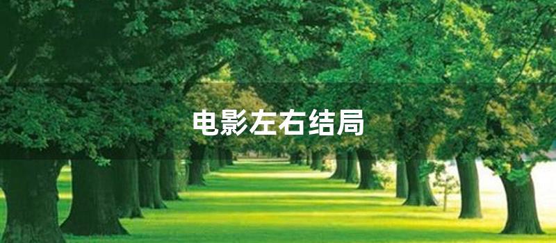 电影左右结局 (左右电影剧情结局)