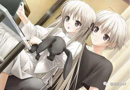 一言不合就开车的污力动画盘点