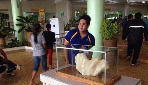 世界上最大的珍珠重达68斤