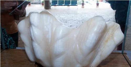 世界上最大的珍珠重达68斤