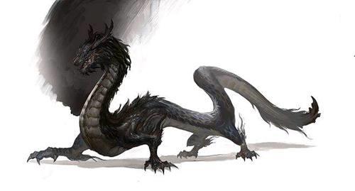 中国龙的种类加简介