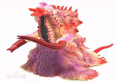 奥特曼冷知识 怪兽分类大全 这些种类你知道几个